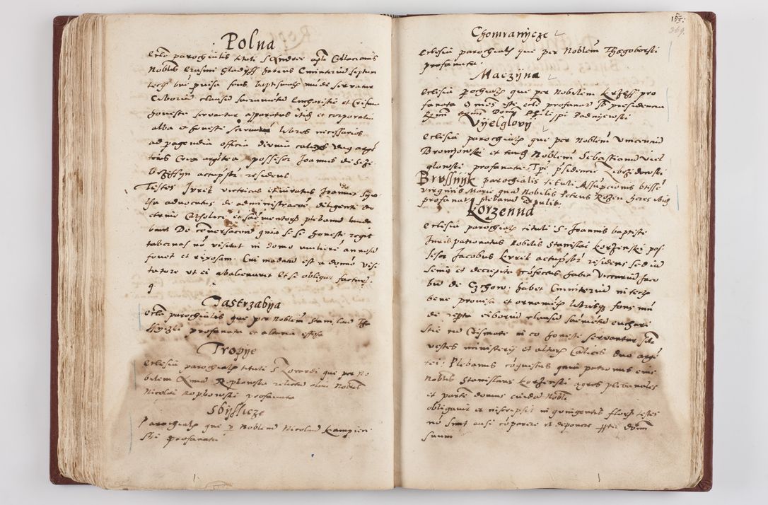Zdjęcie nr 194 dla obiektu archiwalnego: Liber visitationis ecclesiarum in civitate ac Dioecesi Cracoviensi consistentium... Philippi Padniwski Ep. Crac. 1565.