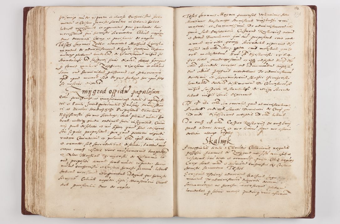 Zdjęcie nr 199 dla obiektu archiwalnego: Liber visitationis ecclesiarum in civitate ac Dioecesi Cracoviensi consistentium... Philippi Padniwski Ep. Crac. 1565.