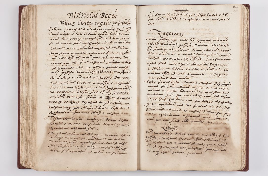 Zdjęcie nr 195 dla obiektu archiwalnego: Liber visitationis ecclesiarum in civitate ac Dioecesi Cracoviensi consistentium... Philippi Padniwski Ep. Crac. 1565.