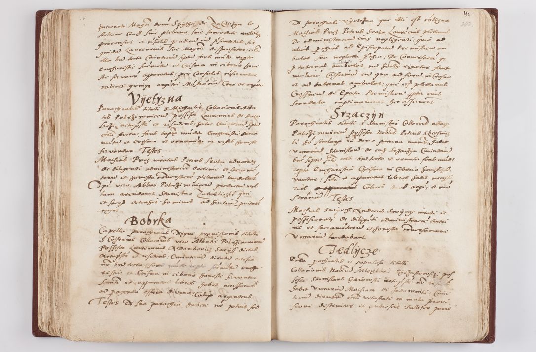 Zdjęcie nr 201 dla obiektu archiwalnego: Liber visitationis ecclesiarum in civitate ac Dioecesi Cracoviensi consistentium... Philippi Padniwski Ep. Crac. 1565.