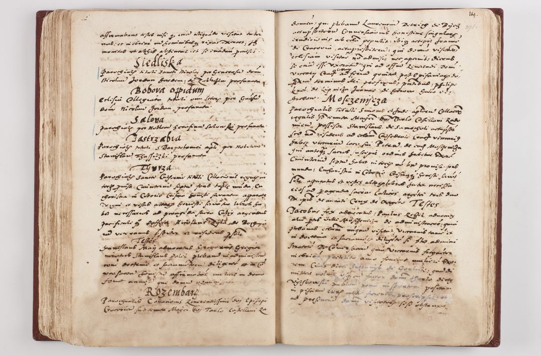 Zdjęcie nr 205 dla obiektu archiwalnego: Liber visitationis ecclesiarum in civitate ac Dioecesi Cracoviensi consistentium... Philippi Padniwski Ep. Crac. 1565.