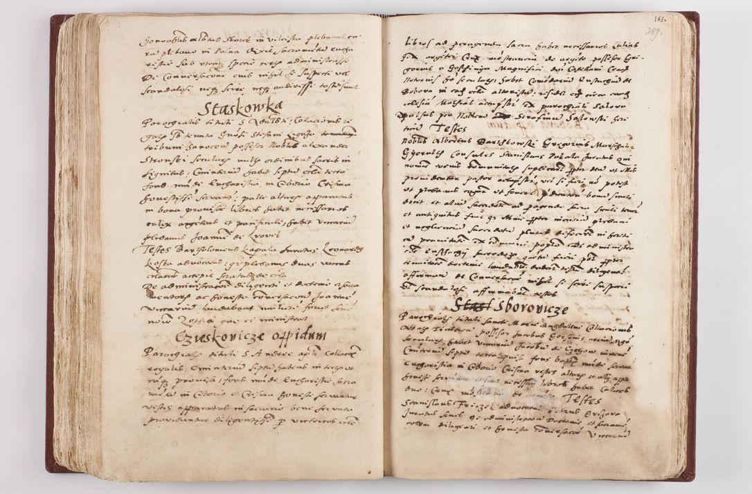 Zdjęcie nr 204 dla obiektu archiwalnego: Liber visitationis ecclesiarum in civitate ac Dioecesi Cracoviensi consistentium... Philippi Padniwski Ep. Crac. 1565.