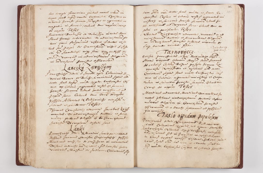 Zdjęcie nr 202 dla obiektu archiwalnego: Liber visitationis ecclesiarum in civitate ac Dioecesi Cracoviensi consistentium... Philippi Padniwski Ep. Crac. 1565.
