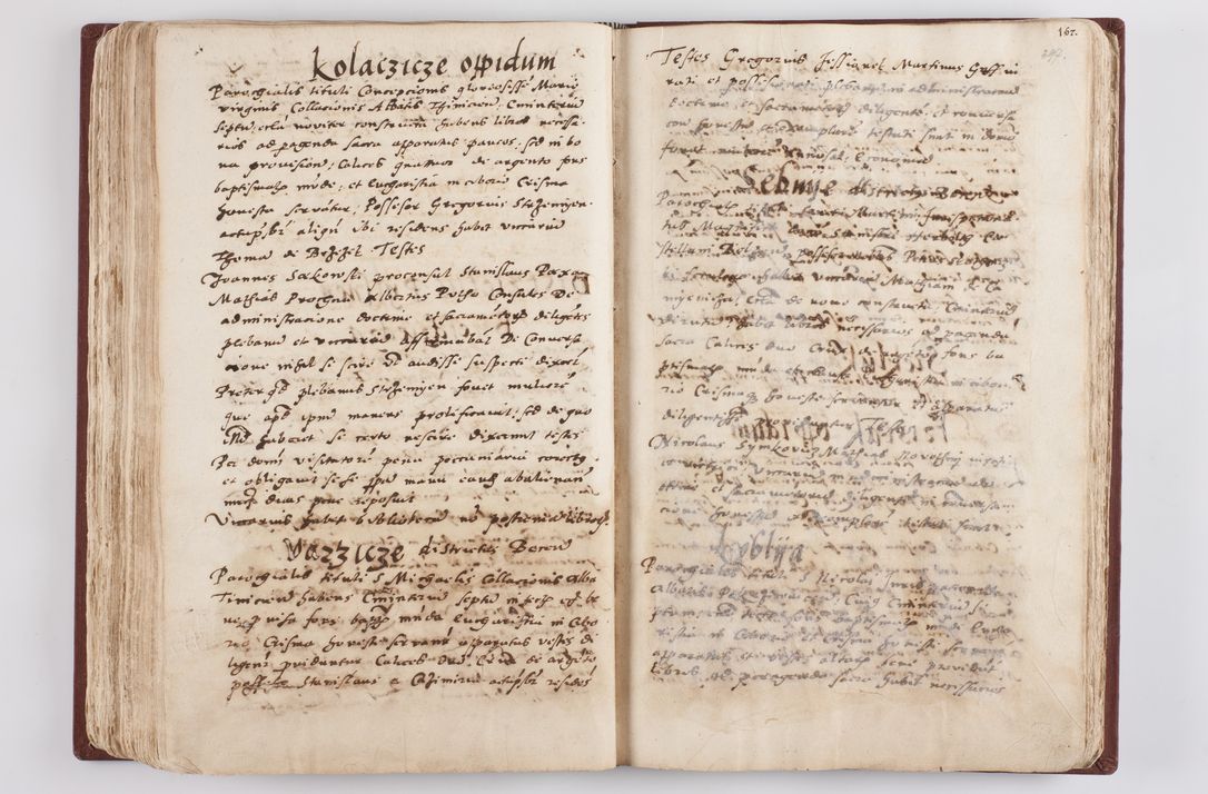 Zdjęcie nr 208 dla obiektu archiwalnego: Liber visitationis ecclesiarum in civitate ac Dioecesi Cracoviensi consistentium... Philippi Padniwski Ep. Crac. 1565.