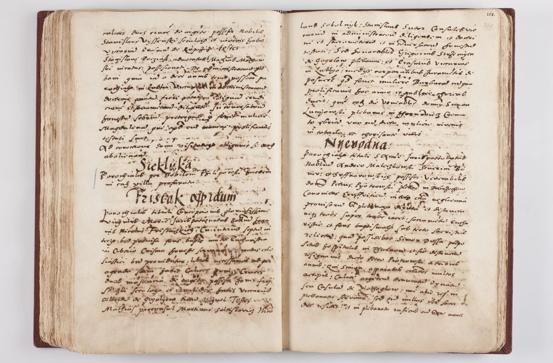 Zdjęcie nr 209 dla obiektu archiwalnego: Liber visitationis ecclesiarum in civitate ac Dioecesi Cracoviensi consistentium... Philippi Padniwski Ep. Crac. 1565.