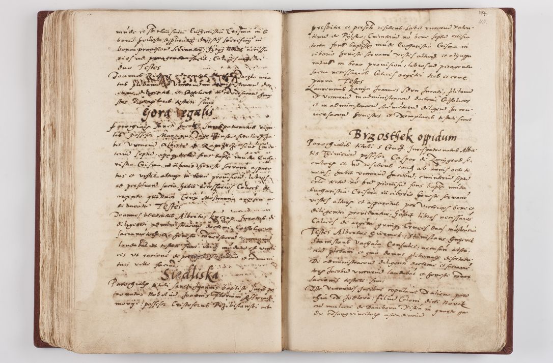 Zdjęcie nr 215 dla obiektu archiwalnego: Liber visitationis ecclesiarum in civitate ac Dioecesi Cracoviensi consistentium... Philippi Padniwski Ep. Crac. 1565.