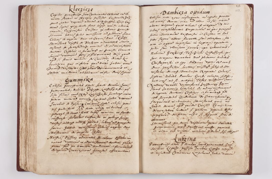 Zdjęcie nr 216 dla obiektu archiwalnego: Liber visitationis ecclesiarum in civitate ac Dioecesi Cracoviensi consistentium... Philippi Padniwski Ep. Crac. 1565.