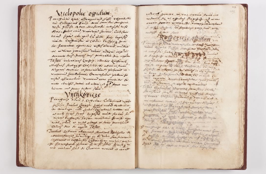Zdjęcie nr 214 dla obiektu archiwalnego: Liber visitationis ecclesiarum in civitate ac Dioecesi Cracoviensi consistentium... Philippi Padniwski Ep. Crac. 1565.
