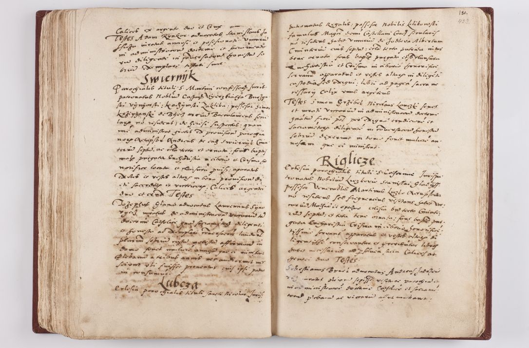Zdjęcie nr 221 dla obiektu archiwalnego: Liber visitationis ecclesiarum in civitate ac Dioecesi Cracoviensi consistentium... Philippi Padniwski Ep. Crac. 1565.