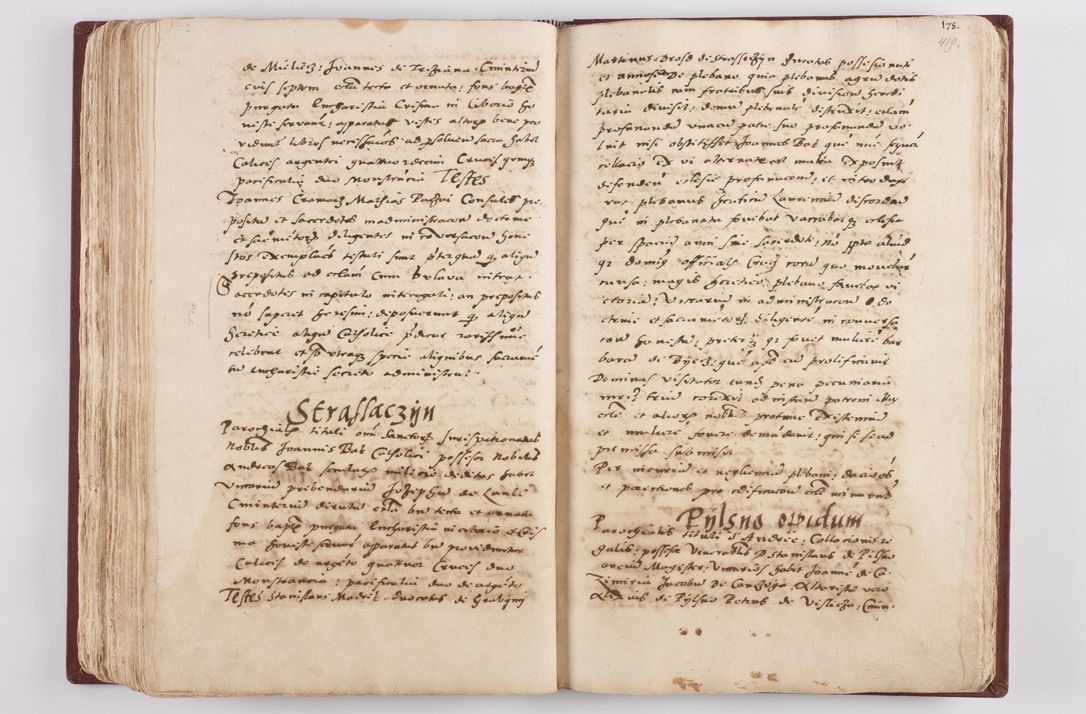 Zdjęcie nr 219 dla obiektu archiwalnego: Liber visitationis ecclesiarum in civitate ac Dioecesi Cracoviensi consistentium... Philippi Padniwski Ep. Crac. 1565.