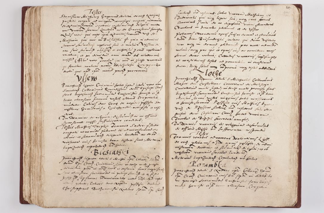 Zdjęcie nr 225 dla obiektu archiwalnego: Liber visitationis ecclesiarum in civitate ac Dioecesi Cracoviensi consistentium... Philippi Padniwski Ep. Crac. 1565.