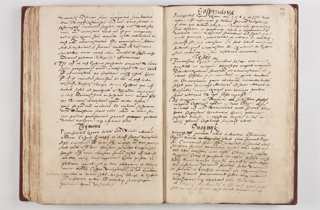 Zdjęcie nr 224 dla obiektu archiwalnego: Liber visitationis ecclesiarum in civitate ac Dioecesi Cracoviensi consistentium... Philippi Padniwski Ep. Crac. 1565.