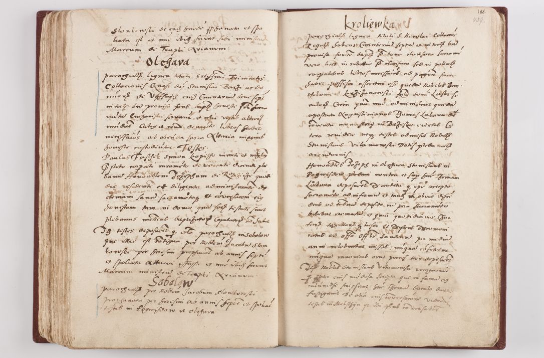 Zdjęcie nr 229 dla obiektu archiwalnego: Liber visitationis ecclesiarum in civitate ac Dioecesi Cracoviensi consistentium... Philippi Padniwski Ep. Crac. 1565.