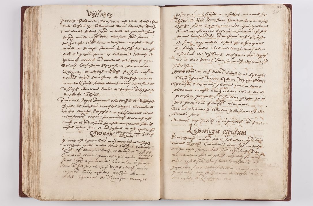 Zdjęcie nr 230 dla obiektu archiwalnego: Liber visitationis ecclesiarum in civitate ac Dioecesi Cracoviensi consistentium... Philippi Padniwski Ep. Crac. 1565.