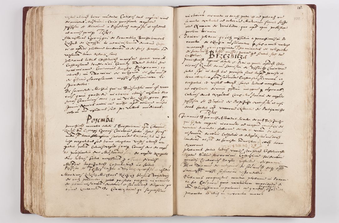 Zdjęcie nr 226 dla obiektu archiwalnego: Liber visitationis ecclesiarum in civitate ac Dioecesi Cracoviensi consistentium... Philippi Padniwski Ep. Crac. 1565.