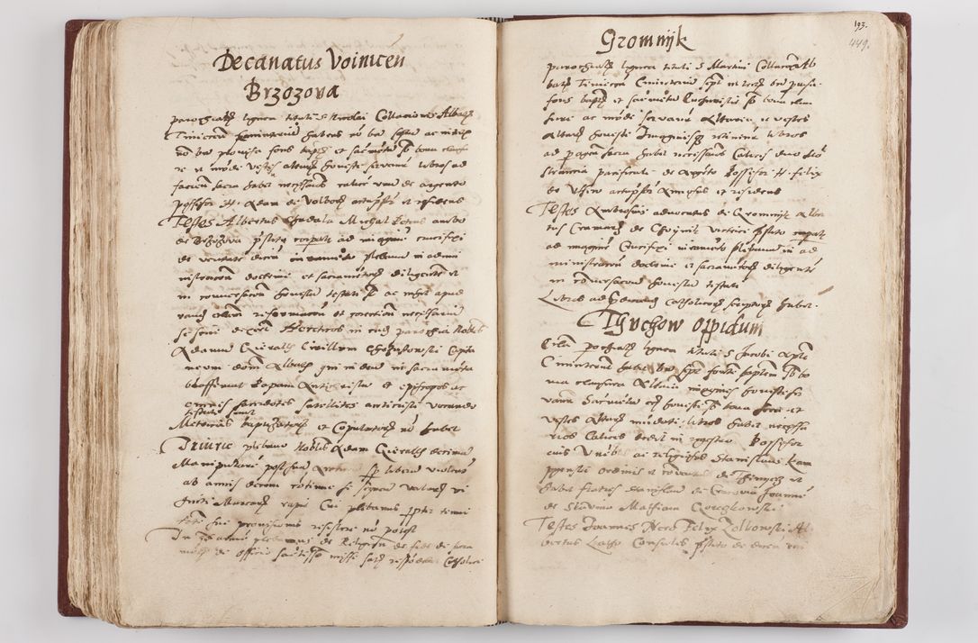Zdjęcie nr 234 dla obiektu archiwalnego: Liber visitationis ecclesiarum in civitate ac Dioecesi Cracoviensi consistentium... Philippi Padniwski Ep. Crac. 1565.