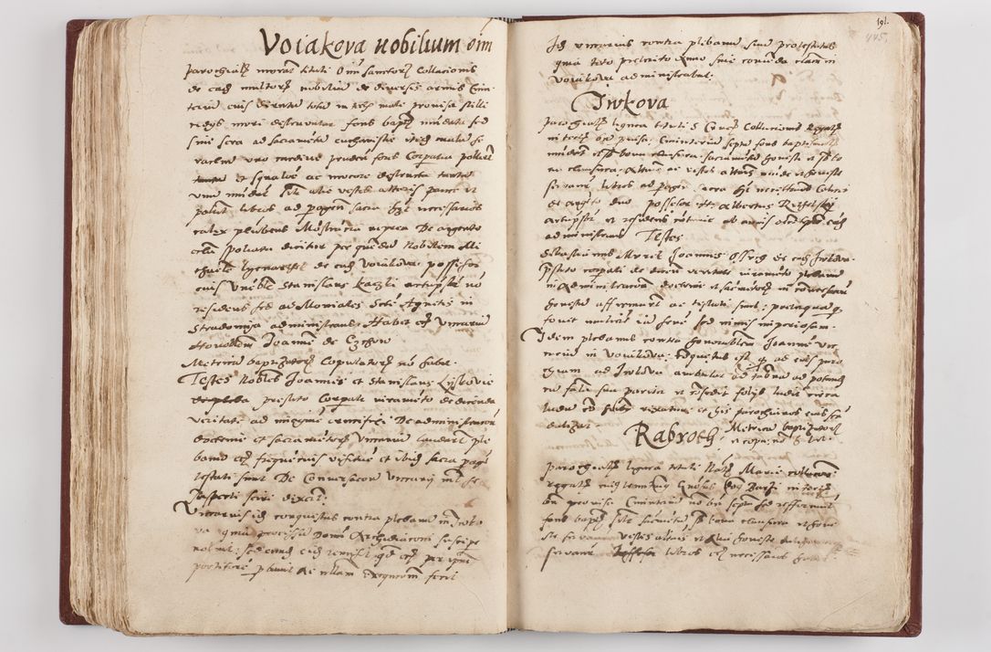 Zdjęcie nr 232 dla obiektu archiwalnego: Liber visitationis ecclesiarum in civitate ac Dioecesi Cracoviensi consistentium... Philippi Padniwski Ep. Crac. 1565.