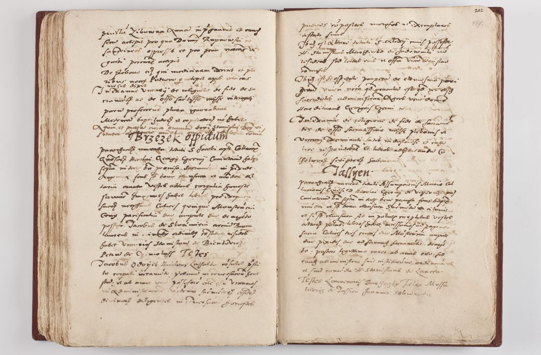Zdjęcie nr 243 dla obiektu archiwalnego: Liber visitationis ecclesiarum in civitate ac Dioecesi Cracoviensi consistentium... Philippi Padniwski Ep. Crac. 1565.