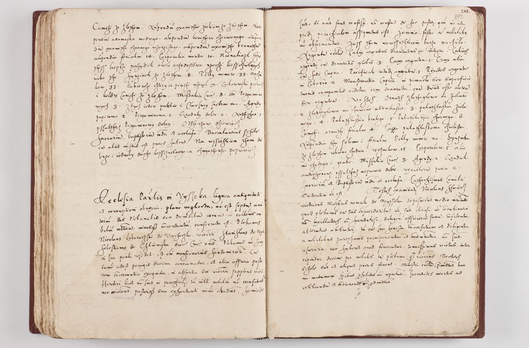 Zdjęcie nr 250 dla obiektu archiwalnego: Liber visitationis ecclesiarum in civitate ac Dioecesi Cracoviensi consistentium... Philippi Padniwski Ep. Crac. 1565.