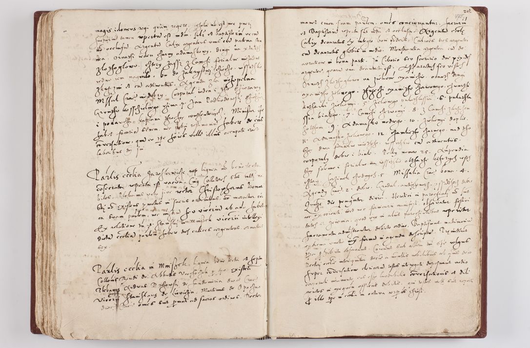 Zdjęcie nr 247 dla obiektu archiwalnego: Liber visitationis ecclesiarum in civitate ac Dioecesi Cracoviensi consistentium... Philippi Padniwski Ep. Crac. 1565.