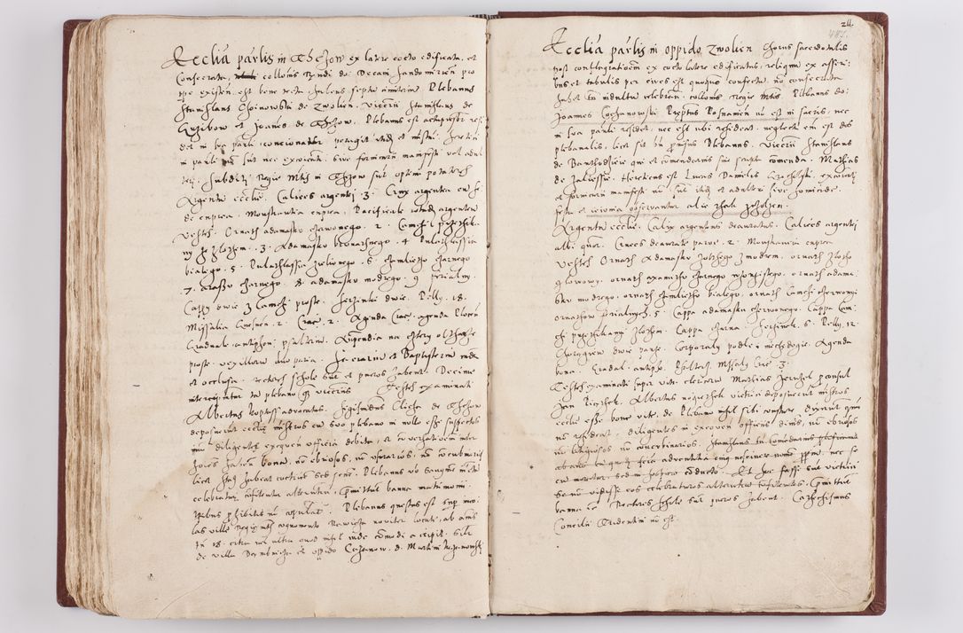Zdjęcie nr 253 dla obiektu archiwalnego: Liber visitationis ecclesiarum in civitate ac Dioecesi Cracoviensi consistentium... Philippi Padniwski Ep. Crac. 1565.