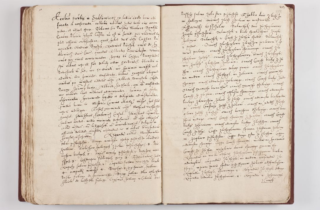 Zdjęcie nr 249 dla obiektu archiwalnego: Liber visitationis ecclesiarum in civitate ac Dioecesi Cracoviensi consistentium... Philippi Padniwski Ep. Crac. 1565.