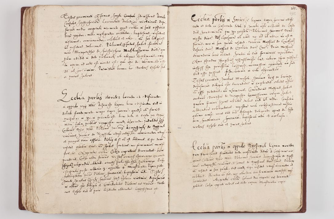 Zdjęcie nr 255 dla obiektu archiwalnego: Liber visitationis ecclesiarum in civitate ac Dioecesi Cracoviensi consistentium... Philippi Padniwski Ep. Crac. 1565.