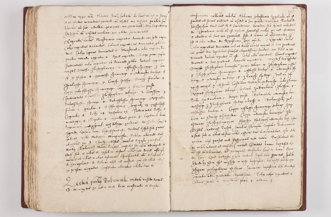 Zdjęcie nr 257 dla obiektu archiwalnego: Liber visitationis ecclesiarum in civitate ac Dioecesi Cracoviensi consistentium... Philippi Padniwski Ep. Crac. 1565.