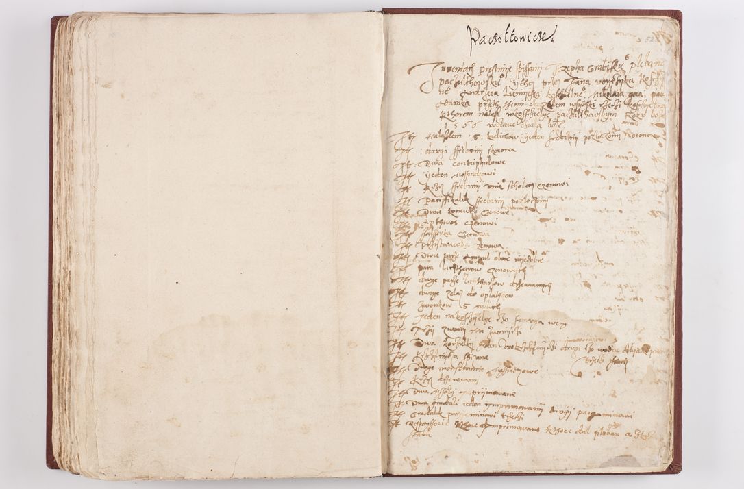 Zdjęcie nr 271 dla obiektu archiwalnego: Liber visitationis ecclesiarum in civitate ac Dioecesi Cracoviensi consistentium... Philippi Padniwski Ep. Crac. 1565.