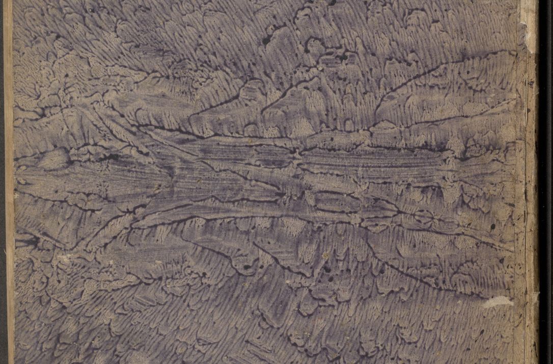 Zdjęcie nr 2 dla obiektu archiwalnego: Protocollon exhibitorum in Ecclesiasticis ex anno 1838