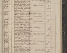 Zdjęcie nr 245 dla obiektu archiwalnego: Protocollon exhibitorum in Ecclesiasticis ex anno 1844
