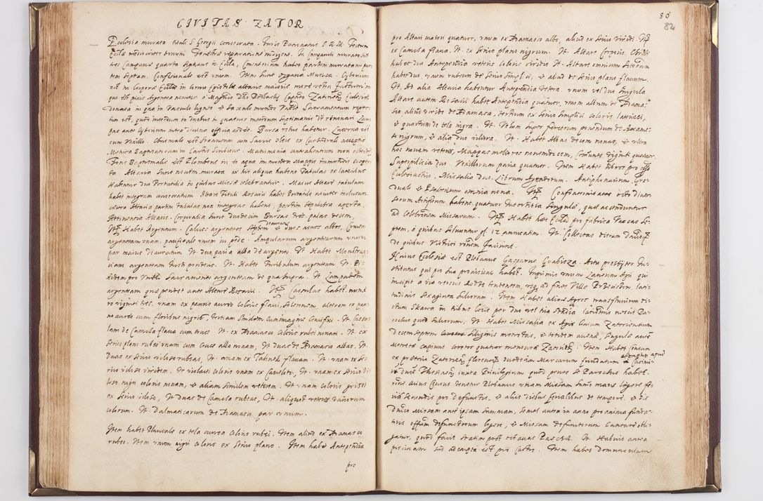Zdjęcie nr 89 dla obiektu archiwalnego: Acta visitationis exterioris decanatus Skavinensis, Novi Montis, Oswencimensis, Zatoriensis, ad archidiaconatum Cracoviensem, prothonotarium apostolicum in a. D. 1617 authoritate ordinaria factae sub felicibus auspiciis R. D. Martini Szyszkowski, episcopi Cracobiensis, ducis Severiensis. Visitatio ecclesiae Collegiate Skarbimiriensis die 9 mesis Decembris anni 1617 ex speciali commissione Episcopi ordinarii facta kk. 106 - 110. Visitatio decanatus Wielicensis a. D. 1618 per R. D. Joannem Foxium, archidiaconum Cracoviensem