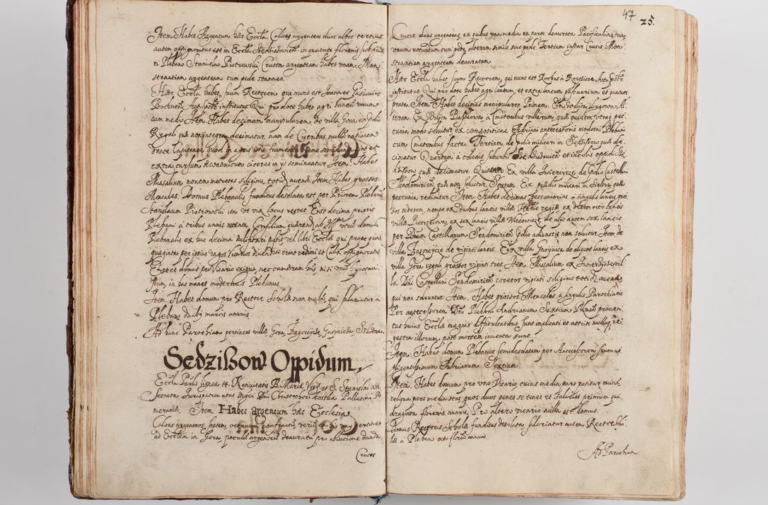 Zdjęcie nr 54 dla obiektu archiwalnego: Compendium actorum visitationis exterioris ecclesiarum existentium in et sub decanatu Pilsnensi, Mielecensi, Ropczicensi, Biecensi, Jaslensi et Żmigrodensi, ad archidiaconatum Sandecensem pertinentium, per R. D. Christophorum Kazimirski, praepositum Tarnoviensem mandato Illustrissimi et Reverendissimi Domini Georgii S. R. E. Cardinalis praesbiteri Radziwiłł nuncupati, episcopatus Cracoviensis administratoris perpetui, in Olyka et Nieswierz ducis a. D. 1595 factae