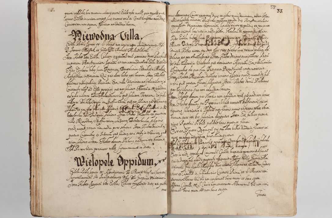 Zdjęcie nr 62 dla obiektu archiwalnego: Compendium actorum visitationis exterioris ecclesiarum existentium in et sub decanatu Pilsnensi, Mielecensi, Ropczicensi, Biecensi, Jaslensi et Żmigrodensi, ad archidiaconatum Sandecensem pertinentium, per R. D. Christophorum Kazimirski, praepositum Tarnoviensem mandato Illustrissimi et Reverendissimi Domini Georgii S. R. E. Cardinalis praesbiteri Radziwiłł nuncupati, episcopatus Cracoviensis administratoris perpetui, in Olyka et Nieswierz ducis a. D. 1595 factae