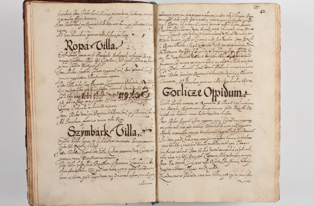 Zdjęcie nr 72 dla obiektu archiwalnego: Compendium actorum visitationis exterioris ecclesiarum existentium in et sub decanatu Pilsnensi, Mielecensi, Ropczicensi, Biecensi, Jaslensi et Żmigrodensi, ad archidiaconatum Sandecensem pertinentium, per R. D. Christophorum Kazimirski, praepositum Tarnoviensem mandato Illustrissimi et Reverendissimi Domini Georgii S. R. E. Cardinalis praesbiteri Radziwiłł nuncupati, episcopatus Cracoviensis administratoris perpetui, in Olyka et Nieswierz ducis a. D. 1595 factae