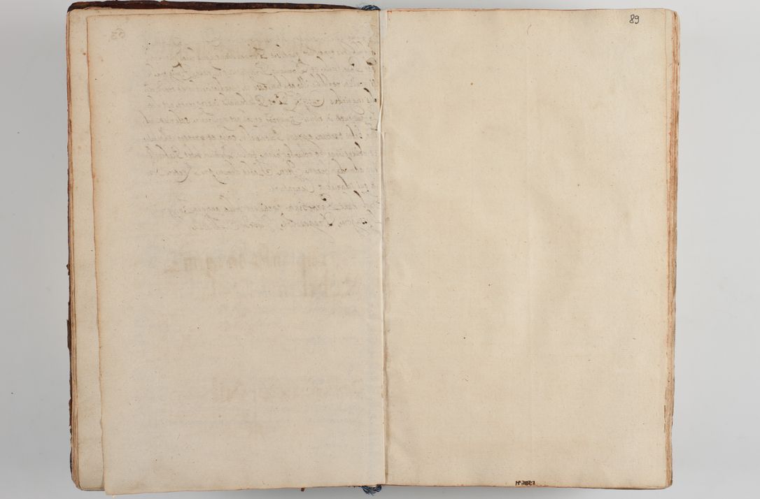 Zdjęcie nr 96 dla obiektu archiwalnego: Compendium actorum visitationis exterioris ecclesiarum existentium in et sub decanatu Pilsnensi, Mielecensi, Ropczicensi, Biecensi, Jaslensi et Żmigrodensi, ad archidiaconatum Sandecensem pertinentium, per R. D. Christophorum Kazimirski, praepositum Tarnoviensem mandato Illustrissimi et Reverendissimi Domini Georgii S. R. E. Cardinalis praesbiteri Radziwiłł nuncupati, episcopatus Cracoviensis administratoris perpetui, in Olyka et Nieswierz ducis a. D. 1595 factae