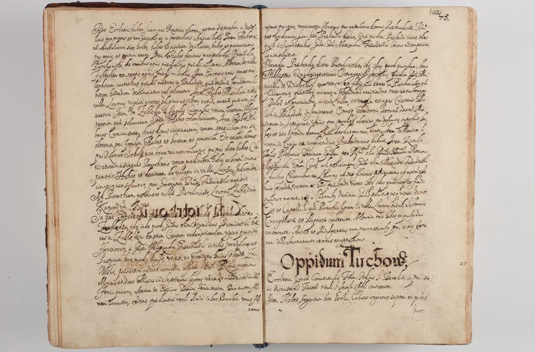 Zdjęcie nr 109 dla obiektu archiwalnego: Compendium actorum visitationis exterioris ecclesiarum existentium in et sub decanatu Pilsnensi, Mielecensi, Ropczicensi, Biecensi, Jaslensi et Żmigrodensi, ad archidiaconatum Sandecensem pertinentium, per R. D. Christophorum Kazimirski, praepositum Tarnoviensem mandato Illustrissimi et Reverendissimi Domini Georgii S. R. E. Cardinalis praesbiteri Radziwiłł nuncupati, episcopatus Cracoviensis administratoris perpetui, in Olyka et Nieswierz ducis a. D. 1595 factae