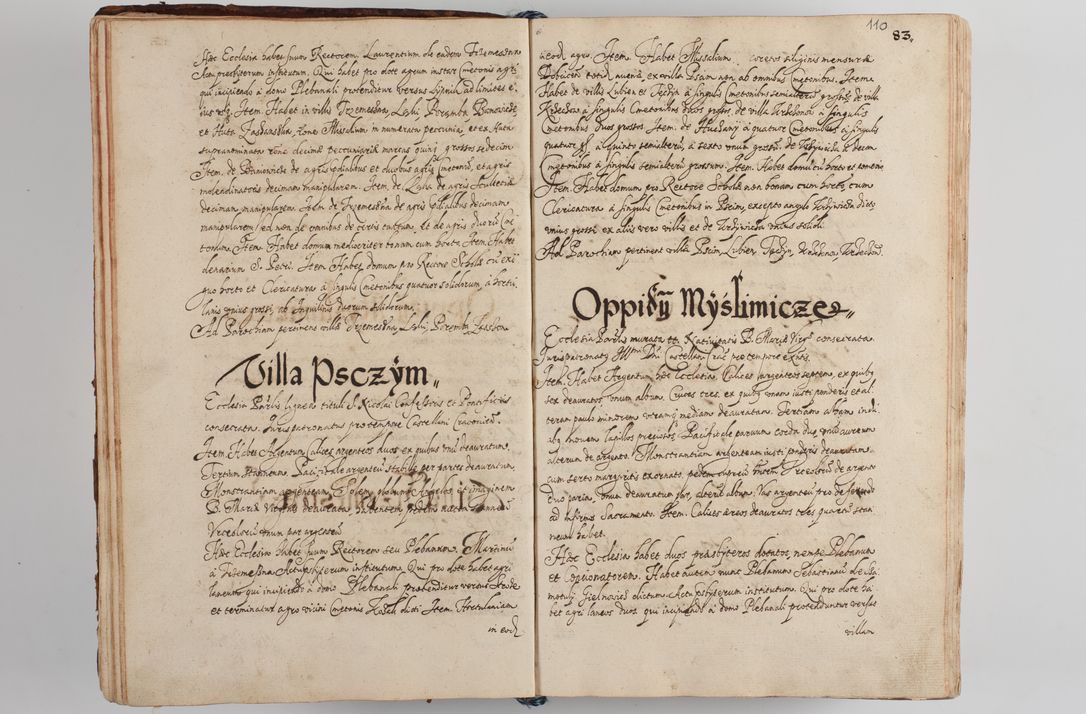 Zdjęcie nr 117 dla obiektu archiwalnego: Compendium actorum visitationis exterioris ecclesiarum existentium in et sub decanatu Pilsnensi, Mielecensi, Ropczicensi, Biecensi, Jaslensi et Żmigrodensi, ad archidiaconatum Sandecensem pertinentium, per R. D. Christophorum Kazimirski, praepositum Tarnoviensem mandato Illustrissimi et Reverendissimi Domini Georgii S. R. E. Cardinalis praesbiteri Radziwiłł nuncupati, episcopatus Cracoviensis administratoris perpetui, in Olyka et Nieswierz ducis a. D. 1595 factae