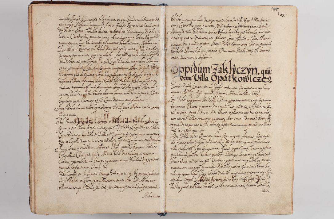 Zdjęcie nr 143 dla obiektu archiwalnego: Compendium actorum visitationis exterioris ecclesiarum existentium in et sub decanatu Pilsnensi, Mielecensi, Ropczicensi, Biecensi, Jaslensi et Żmigrodensi, ad archidiaconatum Sandecensem pertinentium, per R. D. Christophorum Kazimirski, praepositum Tarnoviensem mandato Illustrissimi et Reverendissimi Domini Georgii S. R. E. Cardinalis praesbiteri Radziwiłł nuncupati, episcopatus Cracoviensis administratoris perpetui, in Olyka et Nieswierz ducis a. D. 1595 factae