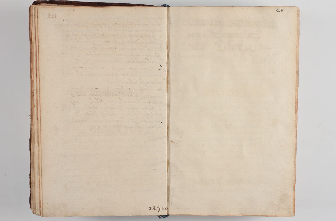 Zdjęcie nr 164 dla obiektu archiwalnego: Compendium actorum visitationis exterioris ecclesiarum existentium in et sub decanatu Pilsnensi, Mielecensi, Ropczicensi, Biecensi, Jaslensi et Żmigrodensi, ad archidiaconatum Sandecensem pertinentium, per R. D. Christophorum Kazimirski, praepositum Tarnoviensem mandato Illustrissimi et Reverendissimi Domini Georgii S. R. E. Cardinalis praesbiteri Radziwiłł nuncupati, episcopatus Cracoviensis administratoris perpetui, in Olyka et Nieswierz ducis a. D. 1595 factae