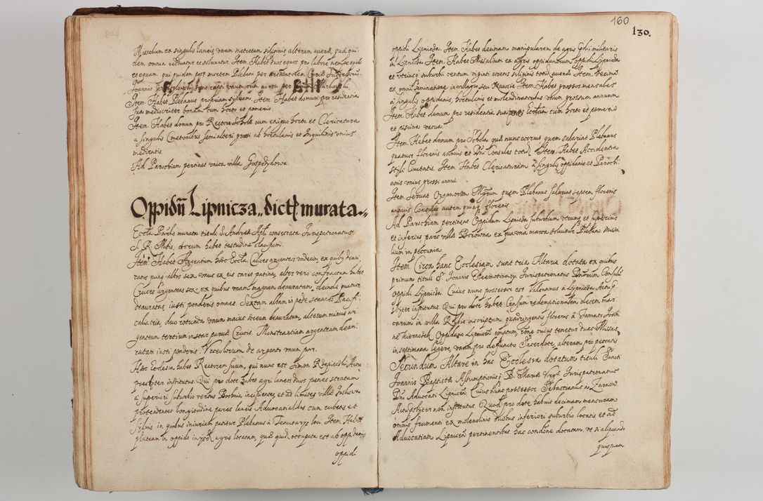 Zdjęcie nr 169 dla obiektu archiwalnego: Compendium actorum visitationis exterioris ecclesiarum existentium in et sub decanatu Pilsnensi, Mielecensi, Ropczicensi, Biecensi, Jaslensi et Żmigrodensi, ad archidiaconatum Sandecensem pertinentium, per R. D. Christophorum Kazimirski, praepositum Tarnoviensem mandato Illustrissimi et Reverendissimi Domini Georgii S. R. E. Cardinalis praesbiteri Radziwiłł nuncupati, episcopatus Cracoviensis administratoris perpetui, in Olyka et Nieswierz ducis a. D. 1595 factae