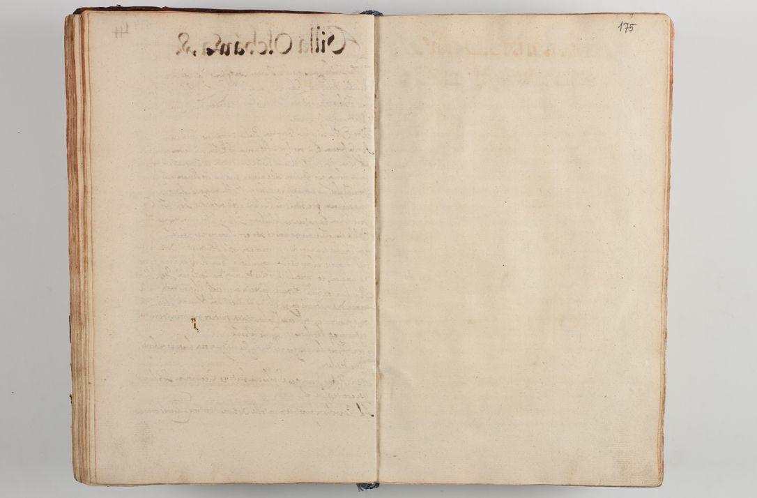 Zdjęcie nr 185 dla obiektu archiwalnego: Compendium actorum visitationis exterioris ecclesiarum existentium in et sub decanatu Pilsnensi, Mielecensi, Ropczicensi, Biecensi, Jaslensi et Żmigrodensi, ad archidiaconatum Sandecensem pertinentium, per R. D. Christophorum Kazimirski, praepositum Tarnoviensem mandato Illustrissimi et Reverendissimi Domini Georgii S. R. E. Cardinalis praesbiteri Radziwiłł nuncupati, episcopatus Cracoviensis administratoris perpetui, in Olyka et Nieswierz ducis a. D. 1595 factae