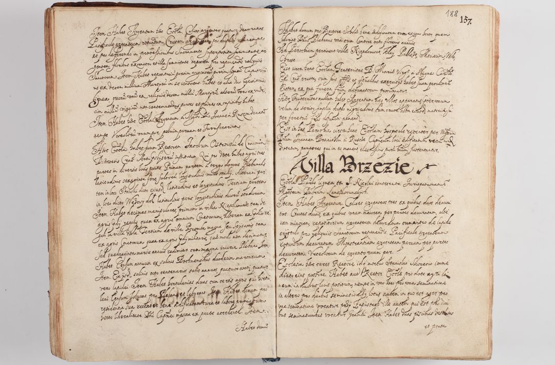 Zdjęcie nr 199 dla obiektu archiwalnego: Compendium actorum visitationis exterioris ecclesiarum existentium in et sub decanatu Pilsnensi, Mielecensi, Ropczicensi, Biecensi, Jaslensi et Żmigrodensi, ad archidiaconatum Sandecensem pertinentium, per R. D. Christophorum Kazimirski, praepositum Tarnoviensem mandato Illustrissimi et Reverendissimi Domini Georgii S. R. E. Cardinalis praesbiteri Radziwiłł nuncupati, episcopatus Cracoviensis administratoris perpetui, in Olyka et Nieswierz ducis a. D. 1595 factae