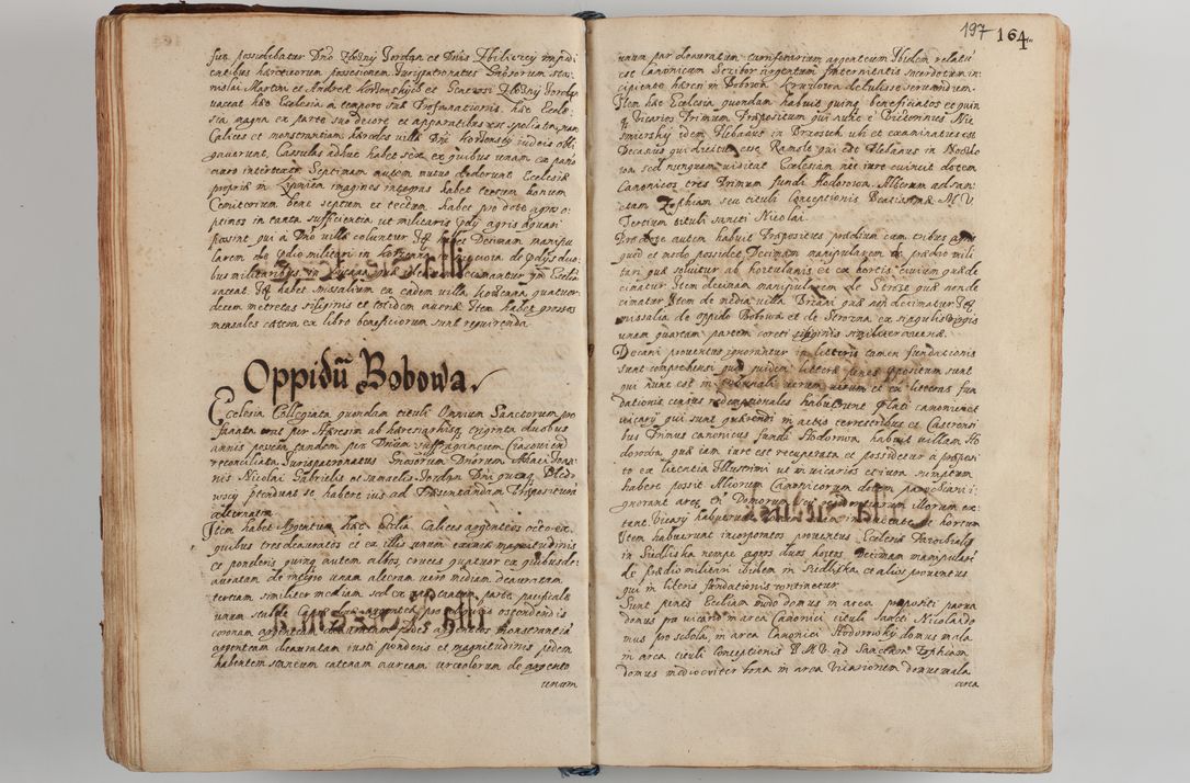 Zdjęcie nr 208 dla obiektu archiwalnego: Compendium actorum visitationis exterioris ecclesiarum existentium in et sub decanatu Pilsnensi, Mielecensi, Ropczicensi, Biecensi, Jaslensi et Żmigrodensi, ad archidiaconatum Sandecensem pertinentium, per R. D. Christophorum Kazimirski, praepositum Tarnoviensem mandato Illustrissimi et Reverendissimi Domini Georgii S. R. E. Cardinalis praesbiteri Radziwiłł nuncupati, episcopatus Cracoviensis administratoris perpetui, in Olyka et Nieswierz ducis a. D. 1595 factae