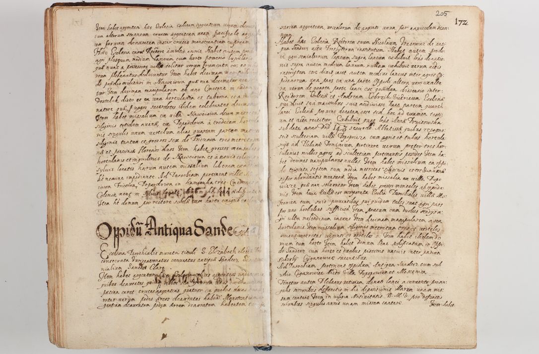 Zdjęcie nr 216 dla obiektu archiwalnego: Compendium actorum visitationis exterioris ecclesiarum existentium in et sub decanatu Pilsnensi, Mielecensi, Ropczicensi, Biecensi, Jaslensi et Żmigrodensi, ad archidiaconatum Sandecensem pertinentium, per R. D. Christophorum Kazimirski, praepositum Tarnoviensem mandato Illustrissimi et Reverendissimi Domini Georgii S. R. E. Cardinalis praesbiteri Radziwiłł nuncupati, episcopatus Cracoviensis administratoris perpetui, in Olyka et Nieswierz ducis a. D. 1595 factae