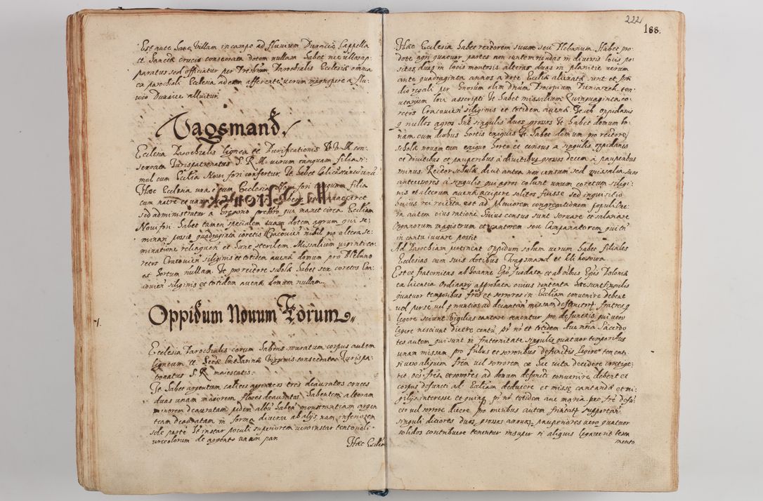 Zdjęcie nr 233 dla obiektu archiwalnego: Compendium actorum visitationis exterioris ecclesiarum existentium in et sub decanatu Pilsnensi, Mielecensi, Ropczicensi, Biecensi, Jaslensi et Żmigrodensi, ad archidiaconatum Sandecensem pertinentium, per R. D. Christophorum Kazimirski, praepositum Tarnoviensem mandato Illustrissimi et Reverendissimi Domini Georgii S. R. E. Cardinalis praesbiteri Radziwiłł nuncupati, episcopatus Cracoviensis administratoris perpetui, in Olyka et Nieswierz ducis a. D. 1595 factae