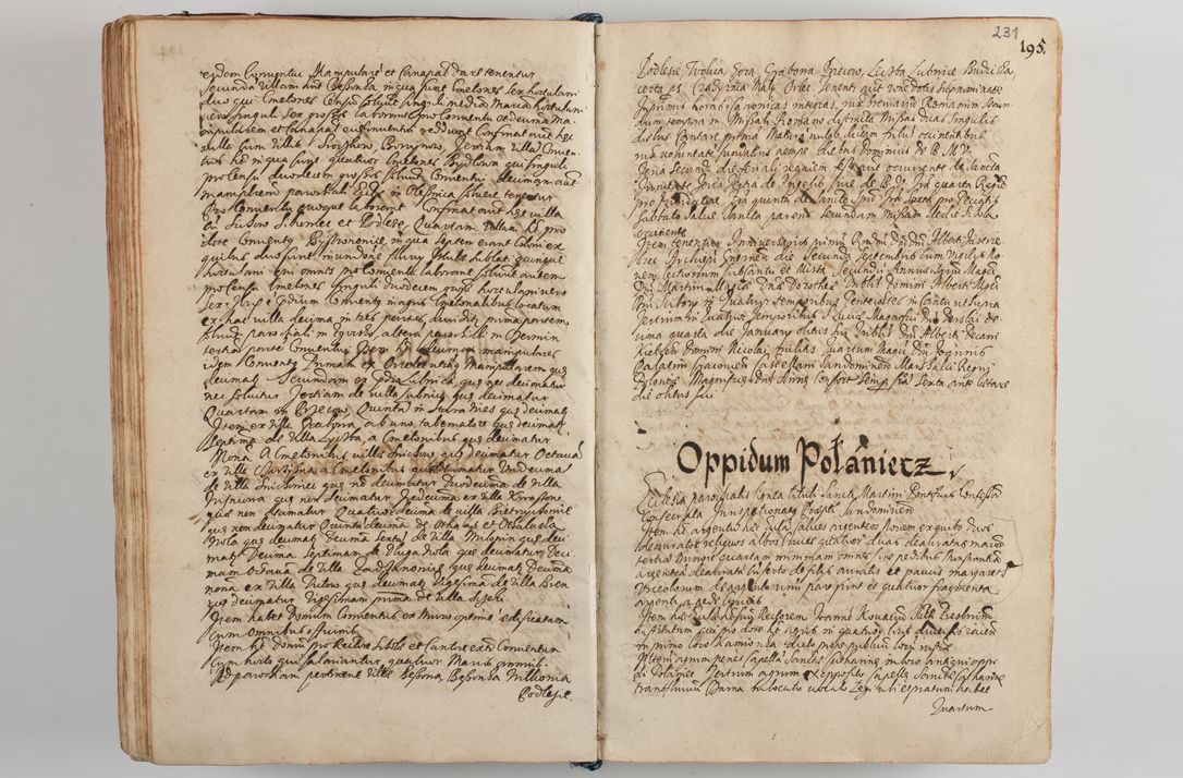 Zdjęcie nr 242 dla obiektu archiwalnego: Compendium actorum visitationis exterioris ecclesiarum existentium in et sub decanatu Pilsnensi, Mielecensi, Ropczicensi, Biecensi, Jaslensi et Żmigrodensi, ad archidiaconatum Sandecensem pertinentium, per R. D. Christophorum Kazimirski, praepositum Tarnoviensem mandato Illustrissimi et Reverendissimi Domini Georgii S. R. E. Cardinalis praesbiteri Radziwiłł nuncupati, episcopatus Cracoviensis administratoris perpetui, in Olyka et Nieswierz ducis a. D. 1595 factae