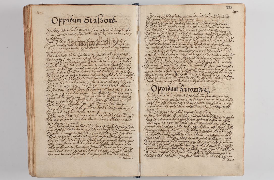 Zdjęcie nr 244 dla obiektu archiwalnego: Compendium actorum visitationis exterioris ecclesiarum existentium in et sub decanatu Pilsnensi, Mielecensi, Ropczicensi, Biecensi, Jaslensi et Żmigrodensi, ad archidiaconatum Sandecensem pertinentium, per R. D. Christophorum Kazimirski, praepositum Tarnoviensem mandato Illustrissimi et Reverendissimi Domini Georgii S. R. E. Cardinalis praesbiteri Radziwiłł nuncupati, episcopatus Cracoviensis administratoris perpetui, in Olyka et Nieswierz ducis a. D. 1595 factae