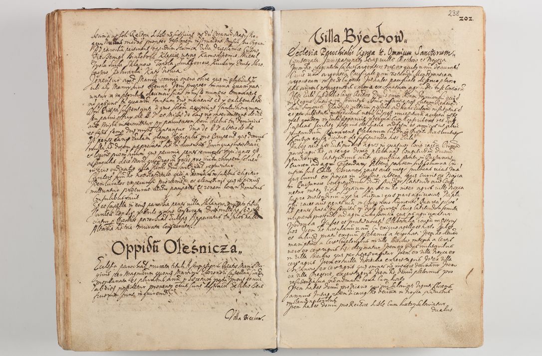 Zdjęcie nr 249 dla obiektu archiwalnego: Compendium actorum visitationis exterioris ecclesiarum existentium in et sub decanatu Pilsnensi, Mielecensi, Ropczicensi, Biecensi, Jaslensi et Żmigrodensi, ad archidiaconatum Sandecensem pertinentium, per R. D. Christophorum Kazimirski, praepositum Tarnoviensem mandato Illustrissimi et Reverendissimi Domini Georgii S. R. E. Cardinalis praesbiteri Radziwiłł nuncupati, episcopatus Cracoviensis administratoris perpetui, in Olyka et Nieswierz ducis a. D. 1595 factae