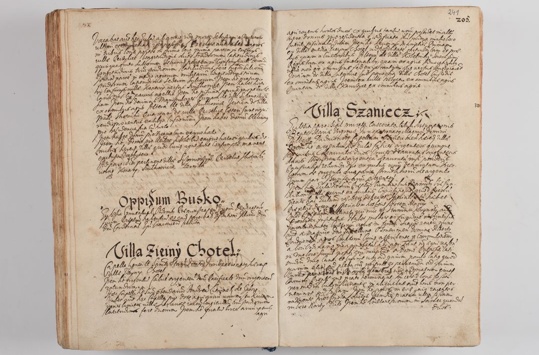 Zdjęcie nr 252 dla obiektu archiwalnego: Compendium actorum visitationis exterioris ecclesiarum existentium in et sub decanatu Pilsnensi, Mielecensi, Ropczicensi, Biecensi, Jaslensi et Żmigrodensi, ad archidiaconatum Sandecensem pertinentium, per R. D. Christophorum Kazimirski, praepositum Tarnoviensem mandato Illustrissimi et Reverendissimi Domini Georgii S. R. E. Cardinalis praesbiteri Radziwiłł nuncupati, episcopatus Cracoviensis administratoris perpetui, in Olyka et Nieswierz ducis a. D. 1595 factae